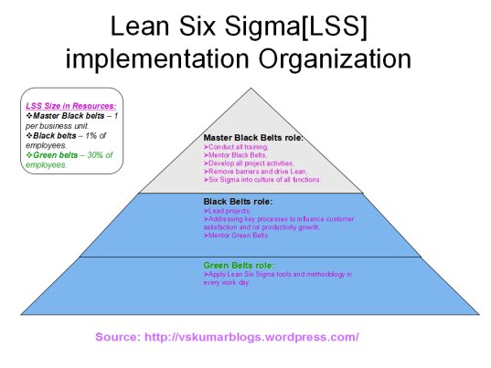 LS-ORG 2