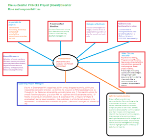 Function of PRINCE2 director