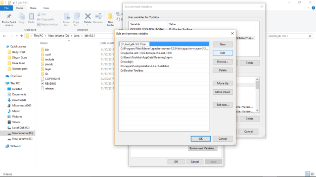 Java SE 9 install scrn-10-windows env setup5.png