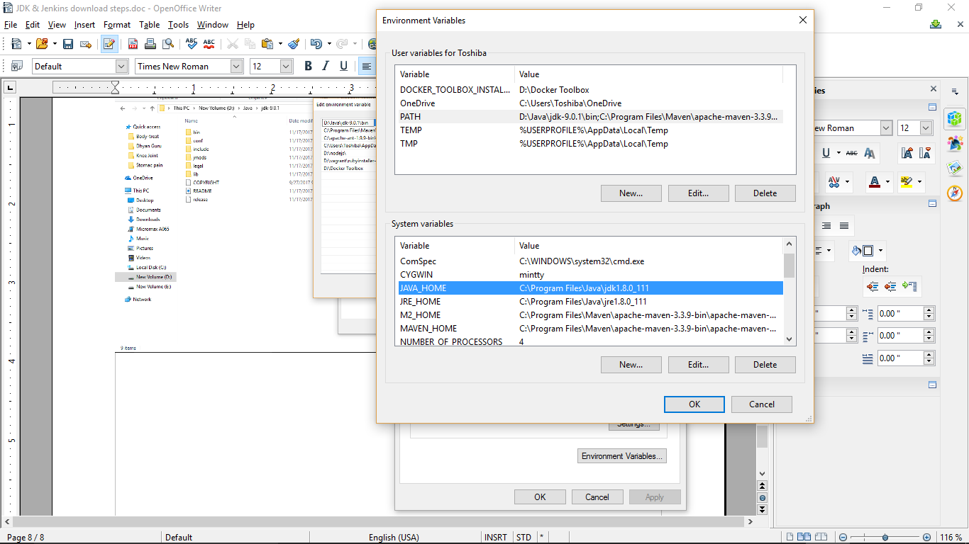 Java SE 9 install scrn-11-windows env setup6