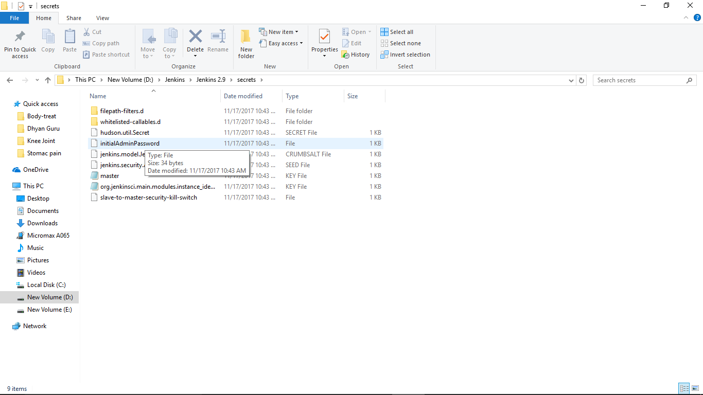 Jenkins-admin-initial-pwd-file